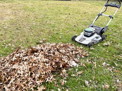 Lawn Mower and Leaf Pile